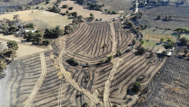 Foto - Çanakkale'den sevindiren haber! Bakan Yumaklı duyurdu