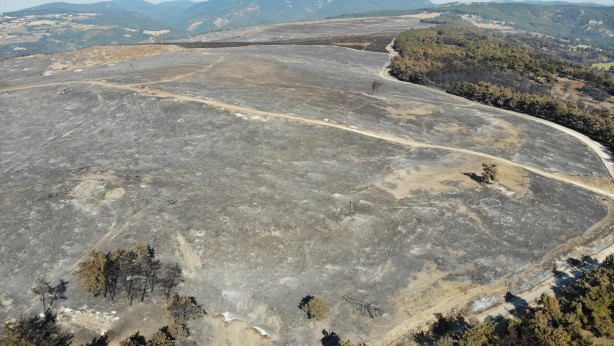 Foto - Çanakkale'den sevindiren haber! Bakan Yumaklı duyurdu