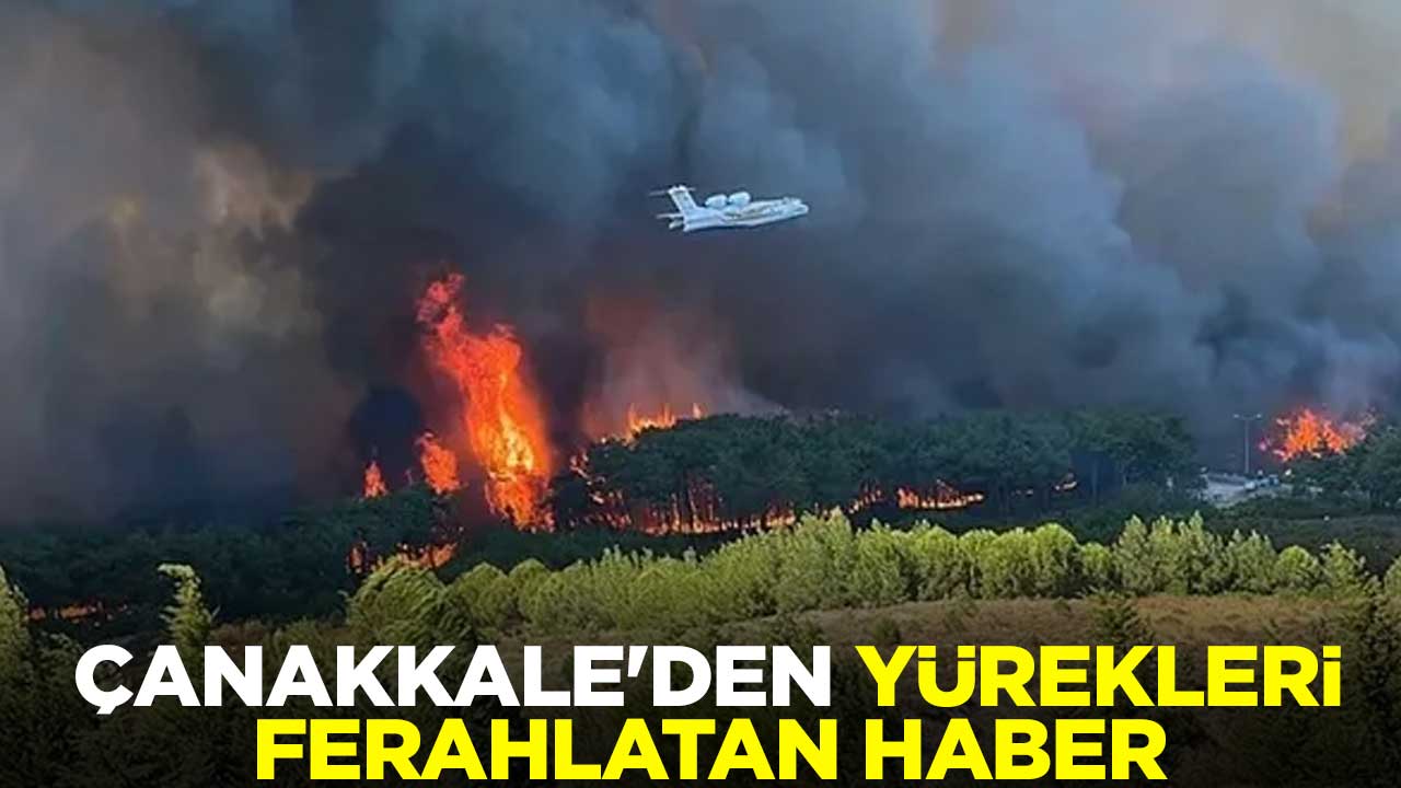 Çanakkale'den yürekleri ferahlatan haber