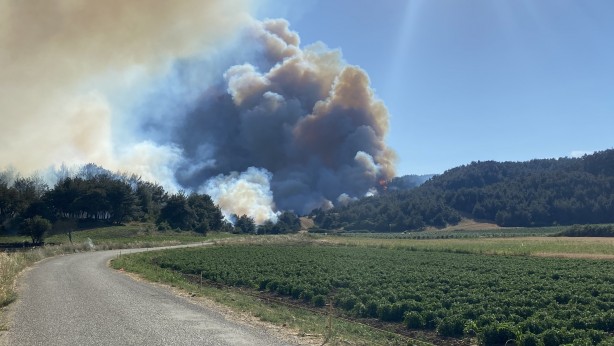 Foto - Çanakkale'nin ciğerleri yandı... Tam 952 futbol sahası büyüklüğünde
