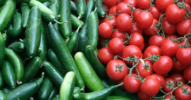 Foto - Canan Karatay açıkladı! Domates ve salatalık çok tehlikeli ikili