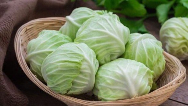 Foto - Canan Karatay açıkladı! İşte dünyanın en sağlıklı yiyeceği! Bunu yiyen zımba gibi oluyor