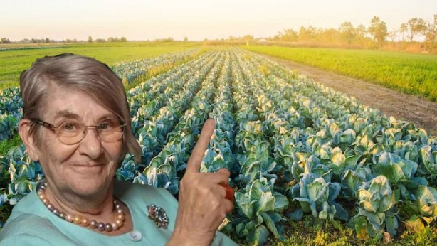 Foto - Canan Karatay, çarşı pazarı karıştırdı! Yine yaptı yapacağını! Sen ne yaptın böyle hocam