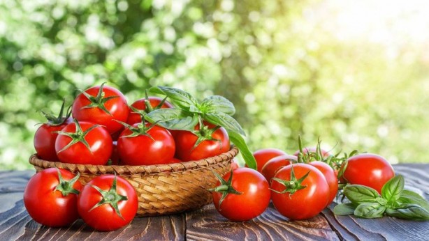 Foto - Canan Karatay domates hakkındaki o gerçeği açıkladı!