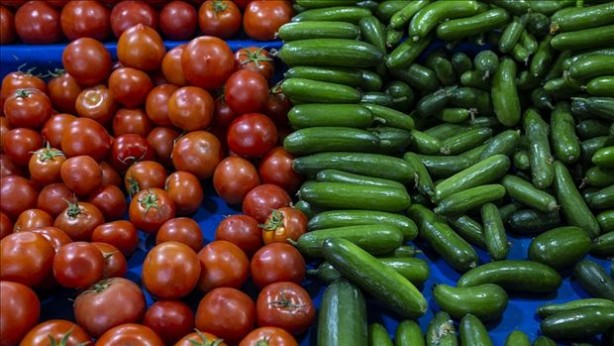 Foto - Canan Karatay domatesteki tehlikeyi açıkladı! Domates ve salatalığı birlikte yemeyin! Meğer ikisini aynı anda yersek...Beklenmedik haber