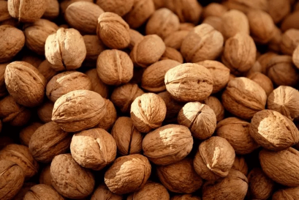 Foto - Canan Karatay dünyanın en faydalı besinini açıkladı! Faydaları saymakla bitmiyor