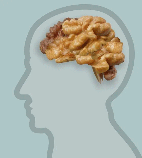 Foto - Canan Karatay dünyanın en faydalı besinini açıkladı! Faydaları saymakla bitmiyor