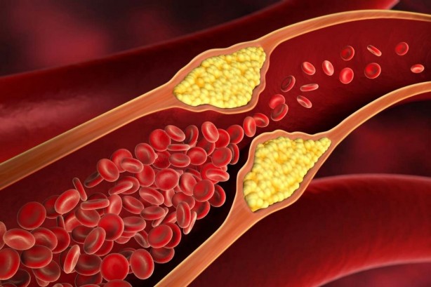 Foto - Canan Karatay esti gürledi: Yeni yetmeler, yok böyle bir şey... Bunu sakın yapmayın!