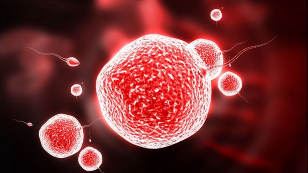 Foto - Canan Karatay esti gürledi: Yeni yetmeler, yok böyle bir şey... Bunu sakın yapmayın!