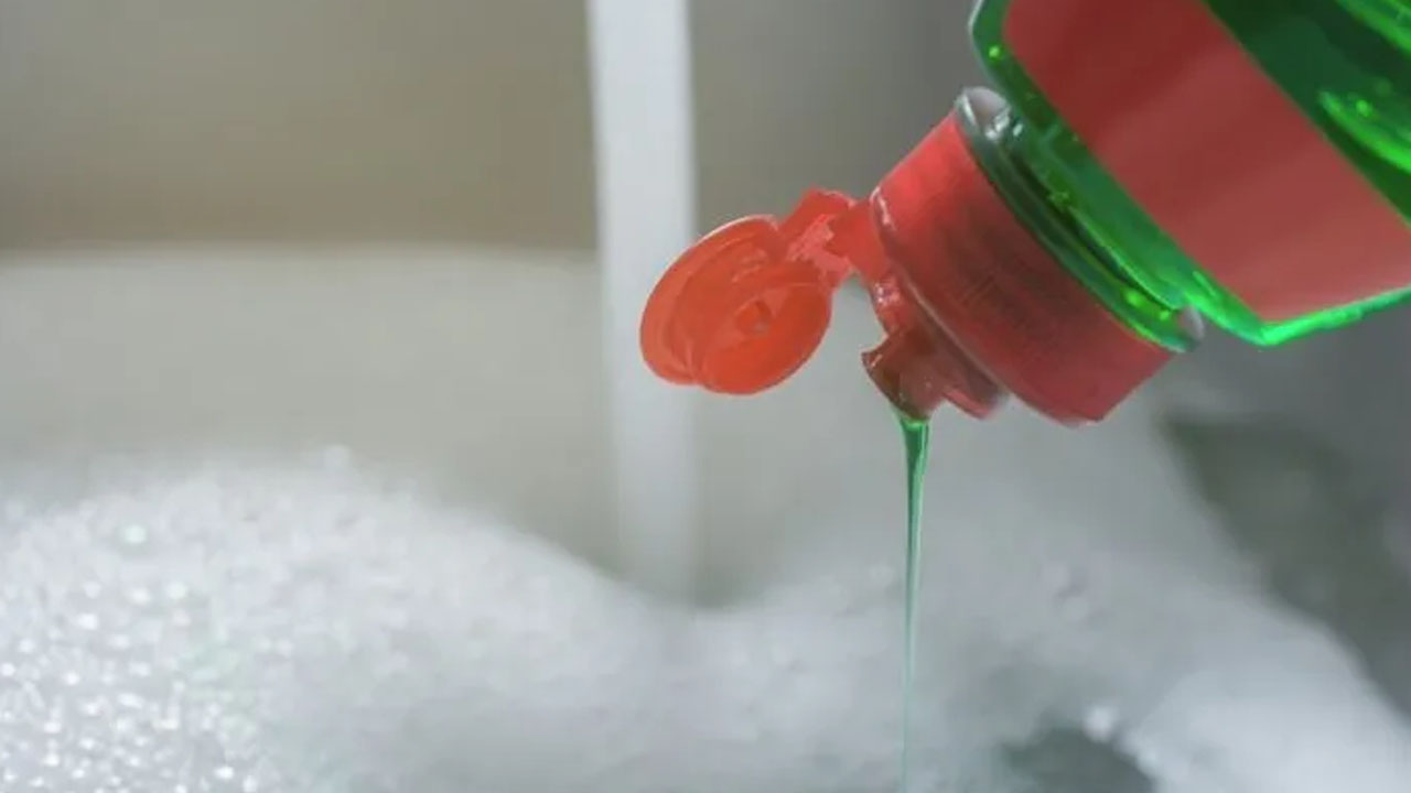 Foto - Canan Karatay: Evinize sokmayın bağışıklık sisteminizi bitiriyor!