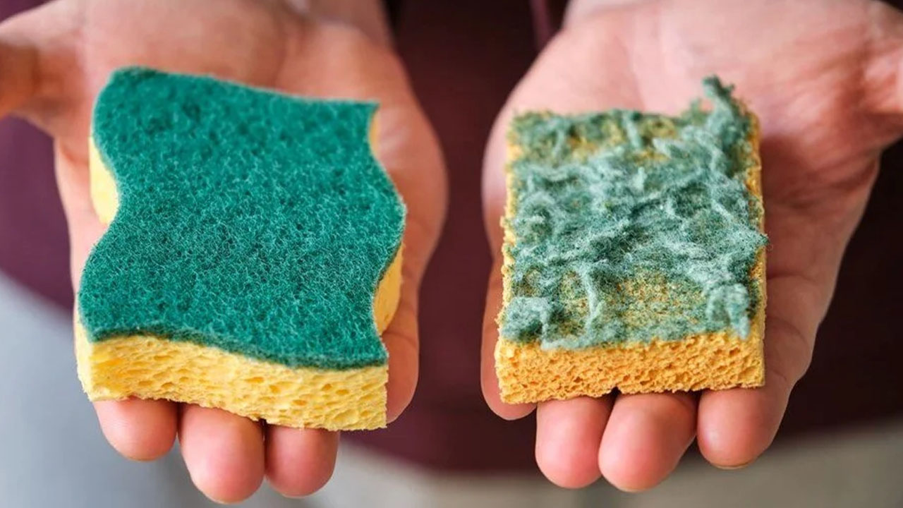 Foto - Canan Karatay ezber bozdu! Mutfaktaki gizli tehlike: Evimizden eksik etmiyoruz ama her yere bakteri yayıyor