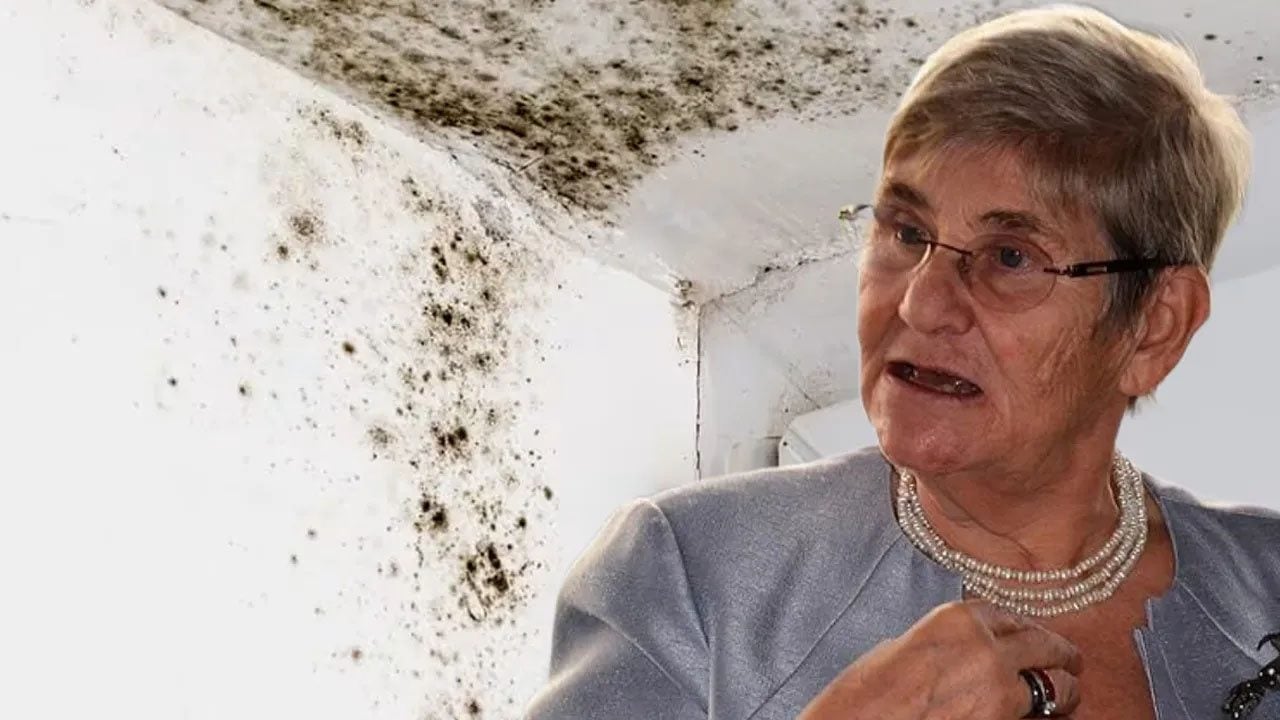  Canan Karatay evde gizli tehlikeye dikkat çekti: Küften kurtulmak için sirke önerdi... Riskini azaltmak mümkün