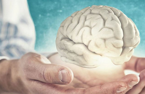 Foto - Canan Karatay herkesi uyardı! İşte adeta şifa deposu 4 besin: Bir sırrı daha açıkladı!