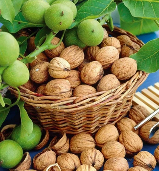Foto - Canan Karatay ısrarla Mucize besinin bir tek ölüme çaresi yok' dedi! Yemek yapanın... Hepsinin devası