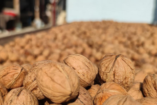 Foto - Canan Karatay ısrarla Mucize besinin bir tek ölüme çaresi yok' dedi! Yemek yapanın... Hepsinin devası