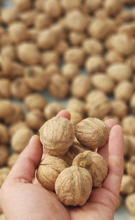 Foto - Canan Karatay ısrarla Mucize besinin bir tek ölüme çaresi yok' dedi! Yemek yapanın... Hepsinin devası