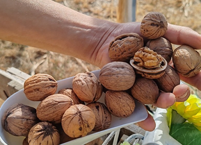 Foto - Canan Karatay ısrarla Mucize besinin bir tek ölüme çaresi yok' dedi! Yemek yapanın... Hepsinin devası