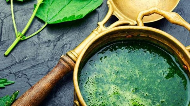 Foto - Canan Karatay 'Kandaki zehri atıyor' dedi! Mucize bitki meğer her yerde varmış