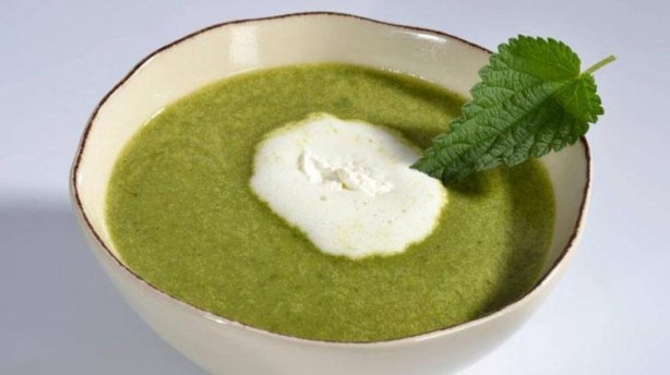 Foto - Canan Karatay 'Kandaki zehri atıyor' dedi! Mucize bitki meğer her yerde varmış