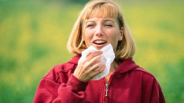 Foto - Canan Karatay 'Kandaki zehri atıyor' dedi! Mucize bitki meğer her yerde varmış