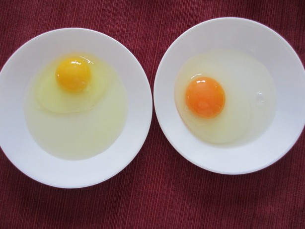 Foto - Canan Karatay kesinlikle uygulanmalı dedi! Taze yumurta ile bayat yumurta arasındaki 5 fark