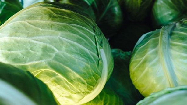Foto - Canan Karatay listeyi verdi! Kış aylarında bunları tüketene hastalık uğramıyor