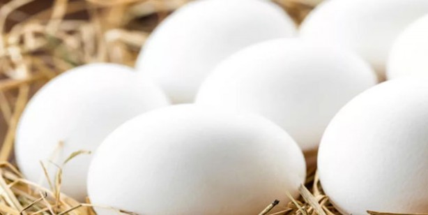 Foto - Canan Karatay, o üçlüyü işaret etti!