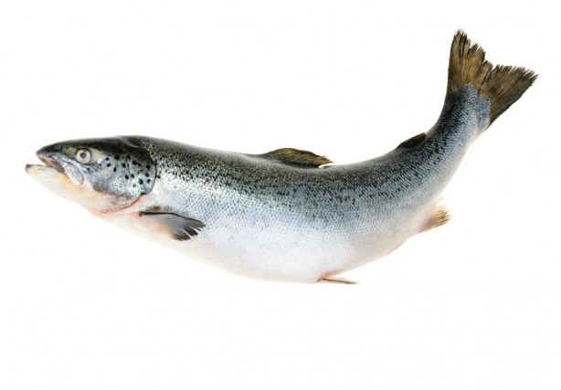 Foto - Canan Karatay önerdi! Beyin sağlığı için bu 4 besine dikkat