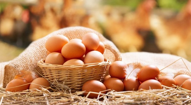 Foto - Canan Karatay önerdi! Beyin sağlığı için bu 4 besine dikkat