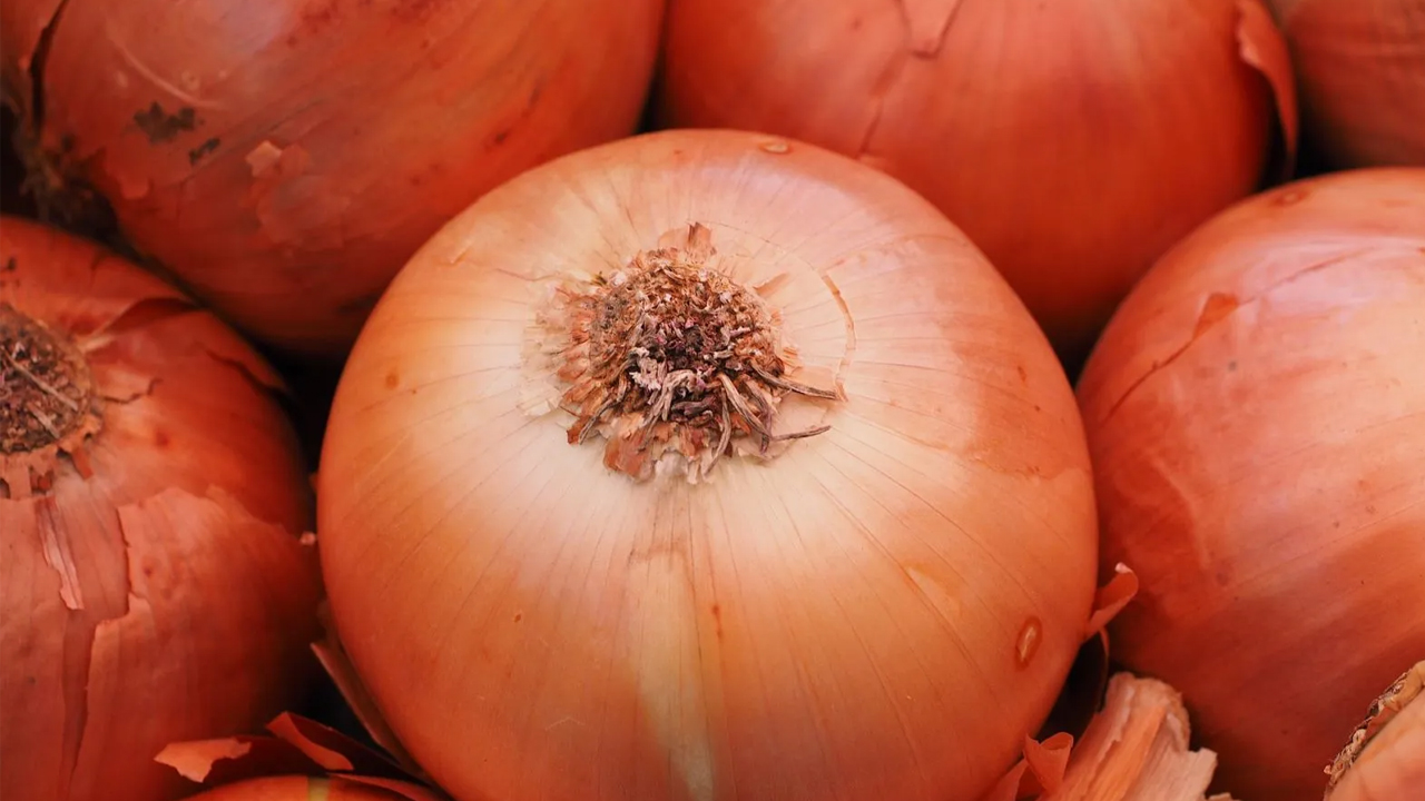 Foto - Canan Karatay özellikle uyardı! Soğanı böyle tüketmek bakın ne kadar sağlıksız