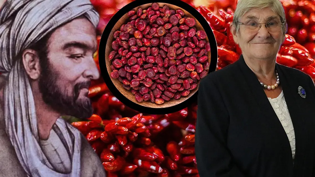 Canan Karatay 'Padişah baharatı' diyerek tavsiye verdi: Kendi küçük ama yararı bu kadar büyük