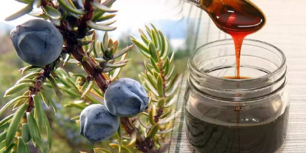 Foto - Canan Karatay sahurda yenilecek en güzel besini açıkladı! Bunu yiyen iftar nasıl geldi anlamayacak