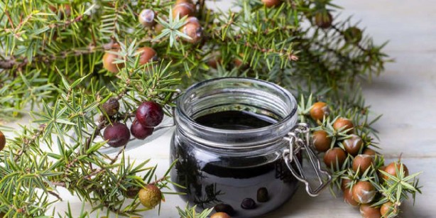 Foto - Canan Karatay sahurda yenilecek en güzel besini açıkladı! Bunu yiyen iftar nasıl geldi anlamayacak