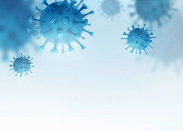 Foto - Canan Karatay sır gibi saklıyordu! İşte dünyanın en yararlı besini...