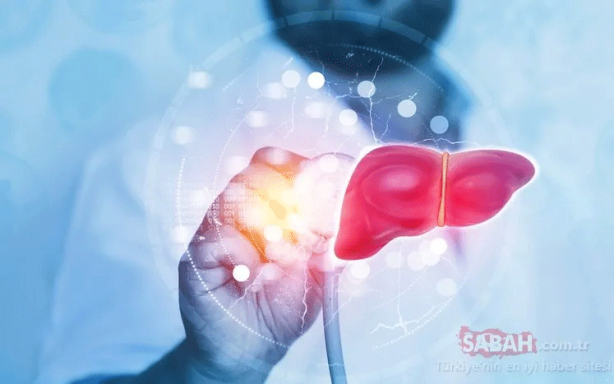 Foto - Canan Karatay sır gibi saklıyordu! İşte dünyanın en yararlı besini...