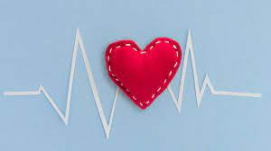 Foto - Canan Karatay ’süper besin’ diyor! Serbest tavuk yumurtası yiyin: Vücutta ne hastalık bırakıyor ne de yağ