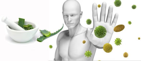 Foto - Canan Karatay ’süper besin’ diyor! Serbest tavuk yumurtası yiyin: Vücutta ne hastalık bırakıyor ne de yağ