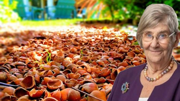 Foto - Canan Karatay, tavsiye listesinin başına onu yerleştirdi! "Hem içi hem dışı şifa" dedi! Bu saatten sonra kimse kabuklarını atmayacak