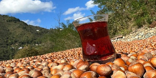 Foto - Canan Karatay, tavsiye listesinin başına onu yerleştirdi! "Hem içi hem dışı şifa" dedi! Bu saatten sonra kimse kabuklarını atmayacak