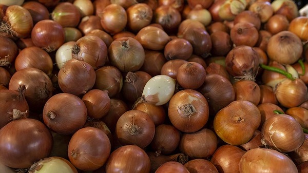 Foto - Canan Karatay tek tek sıraladı! Bunları yiyen demir gibi oluyor