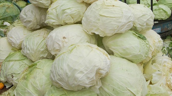 Foto - Canan Karatay tek tek sıraladı! Bunları yiyen demir gibi oluyor