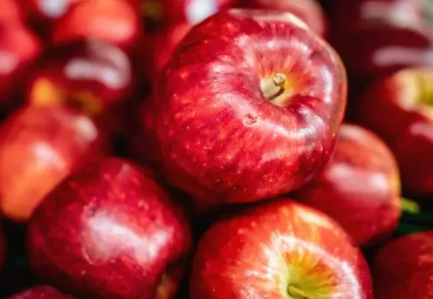 Foto - Canan Karatay tüm ezberleri bozdu: Hemen kurtlu elma bulun ve yiyin! Sebebi herkesi şok edecek