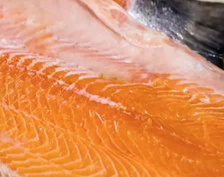 Foto - Canan Karatay üstüne basa basa tüyo: Bayat balığı suda bekletince ne oluyor diyerek hiç bilinmeyen yönleri paylaştı