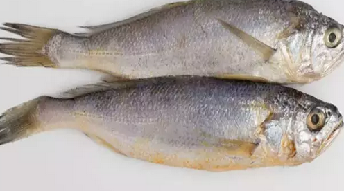 Foto - Canan Karatay üstüne basa basa tüyo: Bayat balığı suda bekletince ne oluyor diyerek hiç bilinmeyen yönleri paylaştı