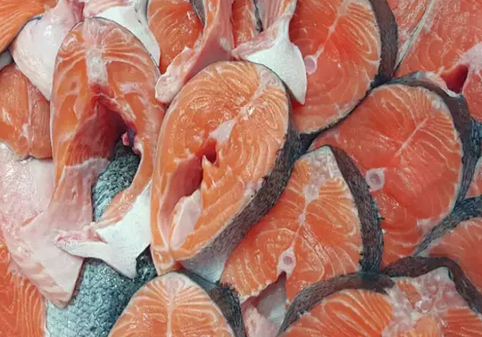 Foto - Canan Karatay üstüne basa basa tüyo: Bayat balığı suda bekletince ne oluyor diyerek hiç bilinmeyen yönleri paylaştı