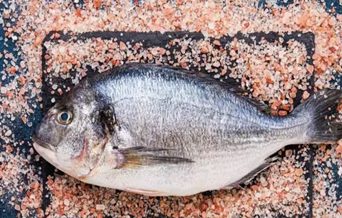 Foto - Canan Karatay üstüne basa basa tüyo: Bayat balığı suda bekletince ne oluyor diyerek hiç bilinmeyen yönleri paylaştı