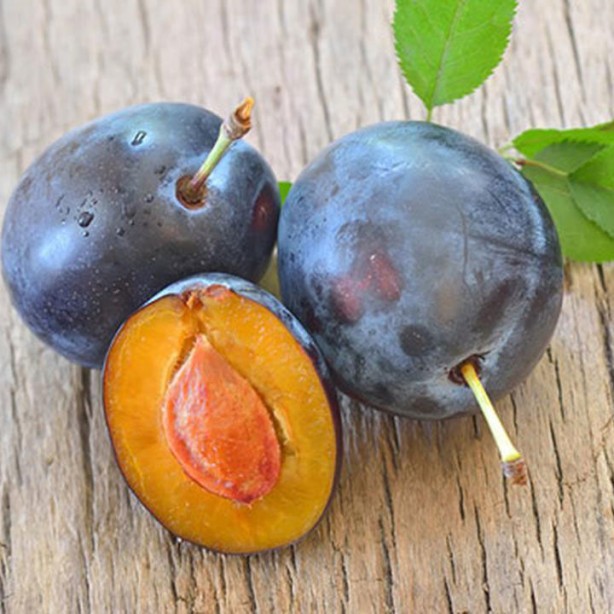 Foto - Canan Karatay üstüne basa basa uyardı: Ikınarak tuvalete çıkıyorsanız hemen bunu yiyin hemen