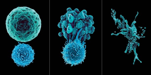 Foto - Canan Karatay uyardı! Evinize sokmayın bağışıklık sisteminizi bitiriyor, yok ediyor! Sizinle paylaşıyorum...