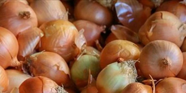 Foto - Canan Karatay uyardı! Evinize sokmayın bağışıklık sisteminizi bitiriyor, yok ediyor! Sizinle paylaşıyorum...