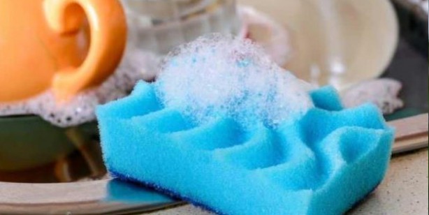 Foto - Canan Karatay uyardı! Evinize sokmayın bağışıklık sisteminizi bitiriyor, yok ediyor! Sizinle paylaşıyorum...